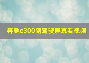 奔驰e300副驾驶屏幕看视频