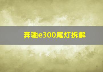 奔驰e300尾灯拆解