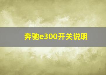 奔驰e300开关说明