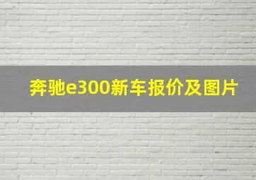 奔驰e300新车报价及图片