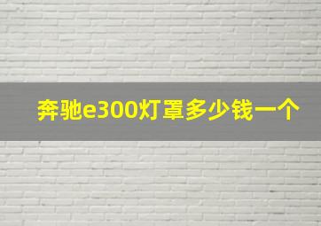 奔驰e300灯罩多少钱一个