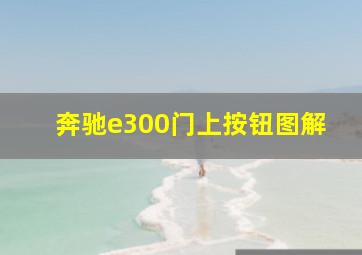 奔驰e300门上按钮图解