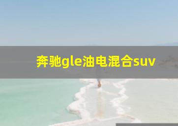 奔驰gle油电混合suv