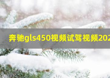 奔驰gls450视频试驾视频2020