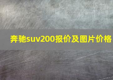 奔驰suv200报价及图片价格