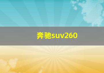 奔驰suv260