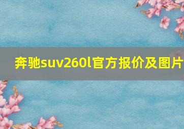 奔驰suv260l官方报价及图片