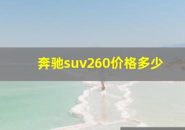 奔驰suv260价格多少