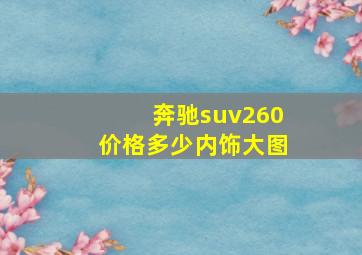 奔驰suv260价格多少内饰大图