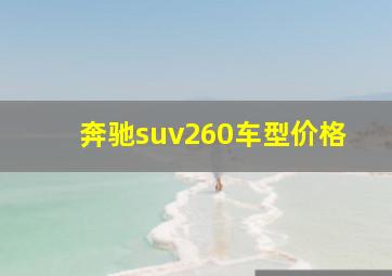 奔驰suv260车型价格