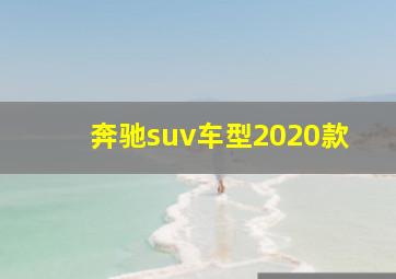 奔驰suv车型2020款