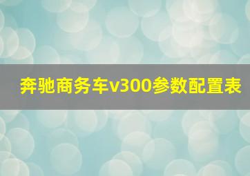 奔驰商务车v300参数配置表