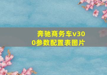 奔驰商务车v300参数配置表图片