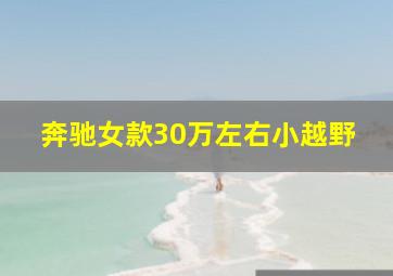 奔驰女款30万左右小越野