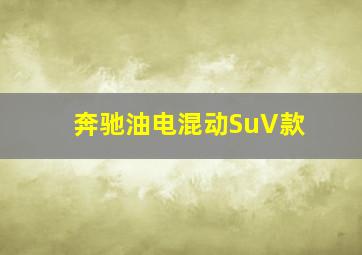 奔驰油电混动SuV款