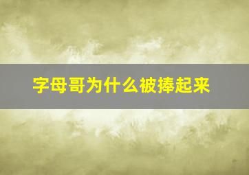 字母哥为什么被捧起来