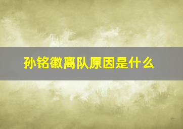 孙铭徽离队原因是什么