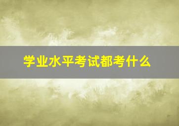 学业水平考试都考什么