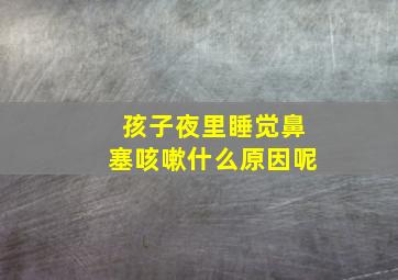 孩子夜里睡觉鼻塞咳嗽什么原因呢