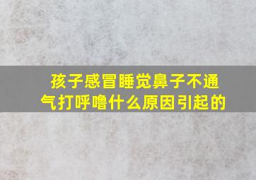 孩子感冒睡觉鼻子不通气打呼噜什么原因引起的