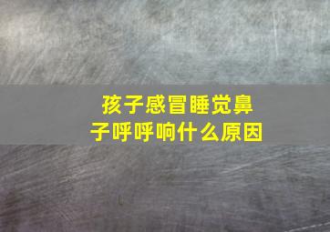 孩子感冒睡觉鼻子呼呼响什么原因