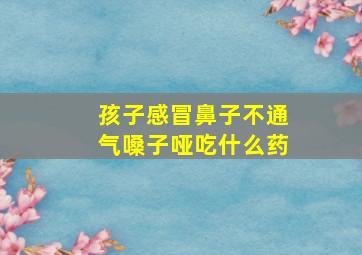 孩子感冒鼻子不通气嗓子哑吃什么药