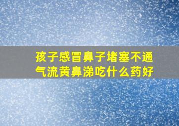 孩子感冒鼻子堵塞不通气流黄鼻涕吃什么药好