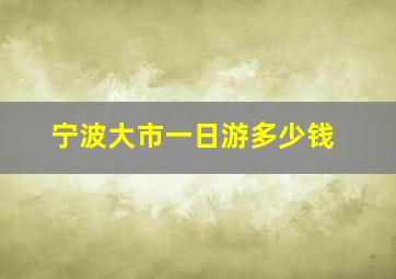 宁波大市一日游多少钱