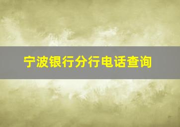 宁波银行分行电话查询