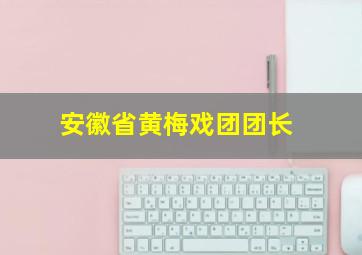 安徽省黄梅戏团团长