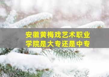 安徽黄梅戏艺术职业学院是大专还是中专