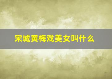 宋城黄梅戏美女叫什么