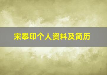 宋攀印个人资料及简历