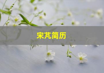 宋芃简历