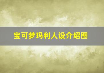 宝可梦玛利人设介绍图