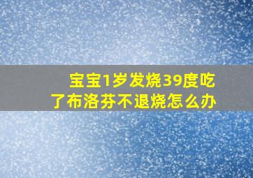 宝宝1岁发烧39度吃了布洛芬不退烧怎么办