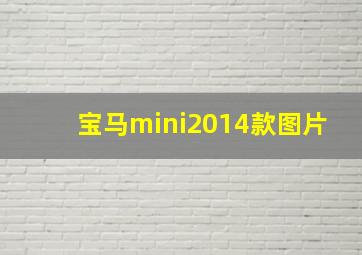 宝马mini2014款图片