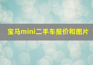 宝马mini二手车报价和图片