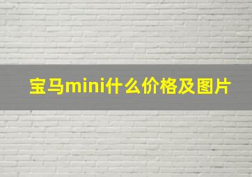 宝马mini什么价格及图片