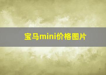 宝马mini价格图片