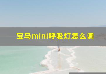 宝马mini呼吸灯怎么调