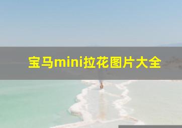 宝马mini拉花图片大全