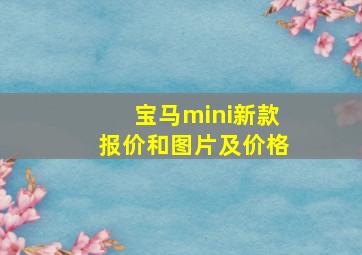 宝马mini新款报价和图片及价格