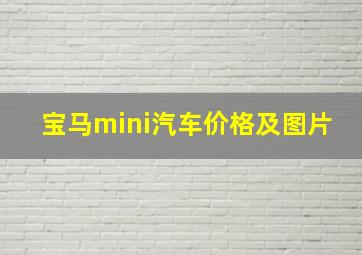 宝马mini汽车价格及图片