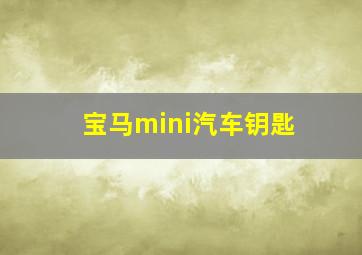 宝马mini汽车钥匙