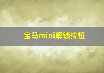 宝马mini解锁按钮