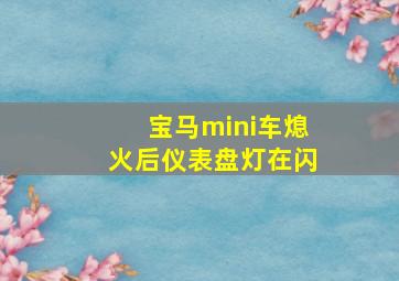 宝马mini车熄火后仪表盘灯在闪