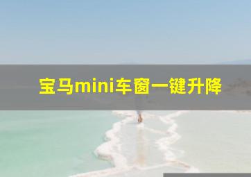 宝马mini车窗一键升降