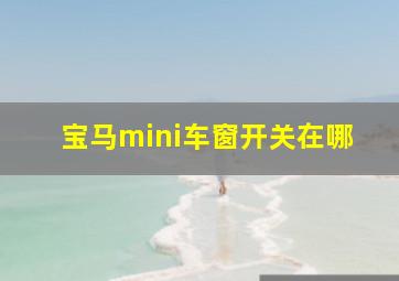 宝马mini车窗开关在哪