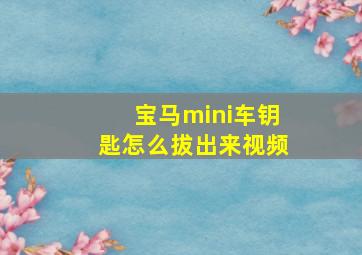 宝马mini车钥匙怎么拔出来视频